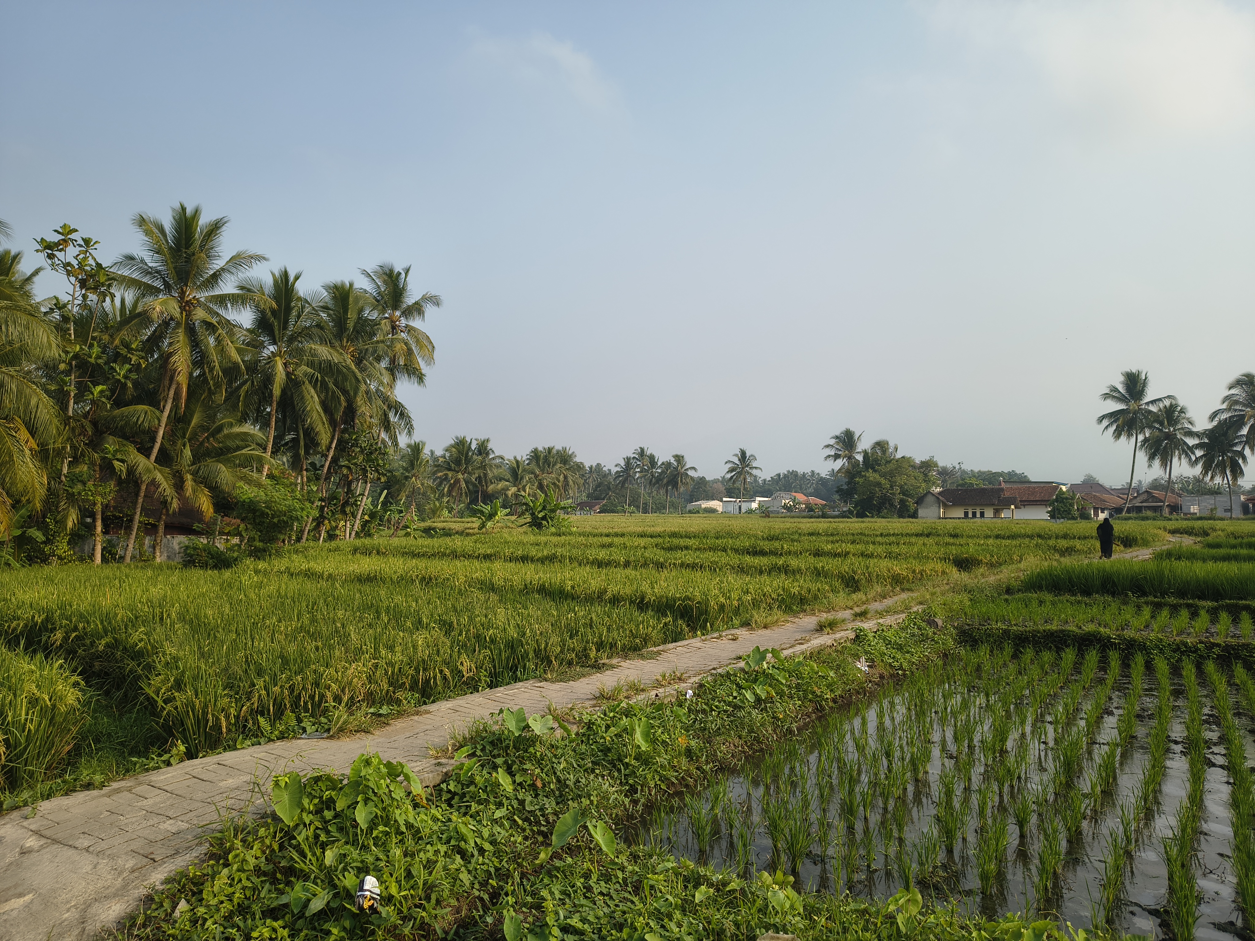 Wisata Alam